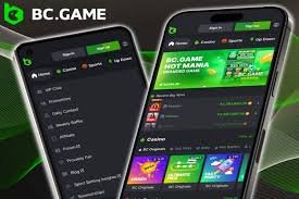 Unleashing the Fun of BC.Game Online Crypto Casino